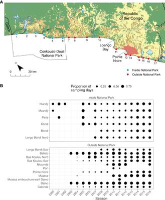 Missing Data in Sea Turtle Population Monitoring: A Bayesian Statistical Framework Accounting for Incomplete Sampling